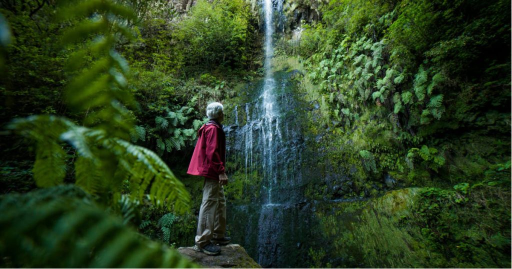 Buy Villa in Madeira: Nature